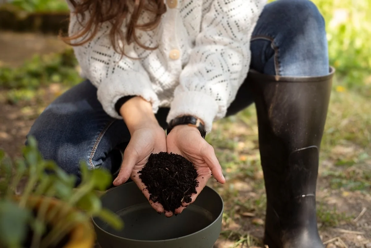 Les tendances actuelles en matière de mode durable et responsable en 2026